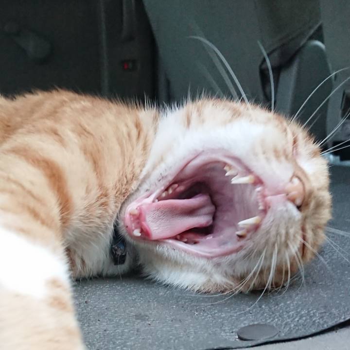 23e4e351 2f9a 41af b466 a1272f0b0150 1567069383992