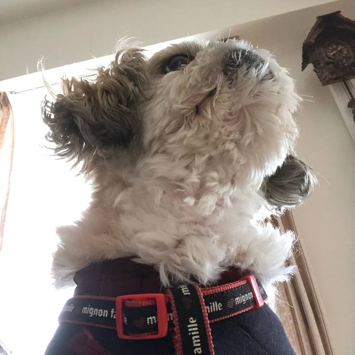 23e4eacf 6f71 4288 a562 fa2e05ccbc31 1585959730347