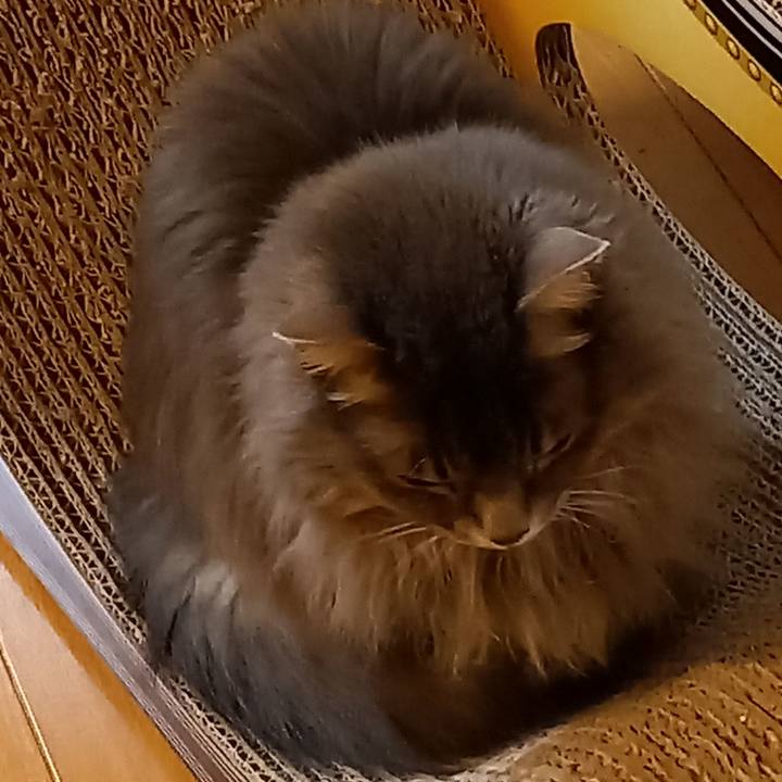 23e4f803 baa1 4ed9 9f64 7c25b78d0b3d 1613130954782