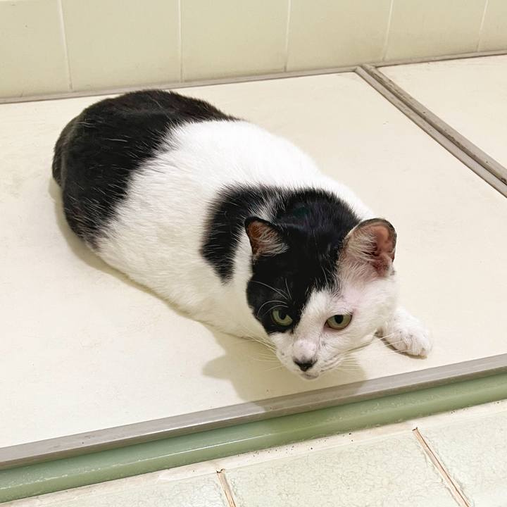 23e50a4c ed68 4c74 9b57 68626f878808 1759186088182