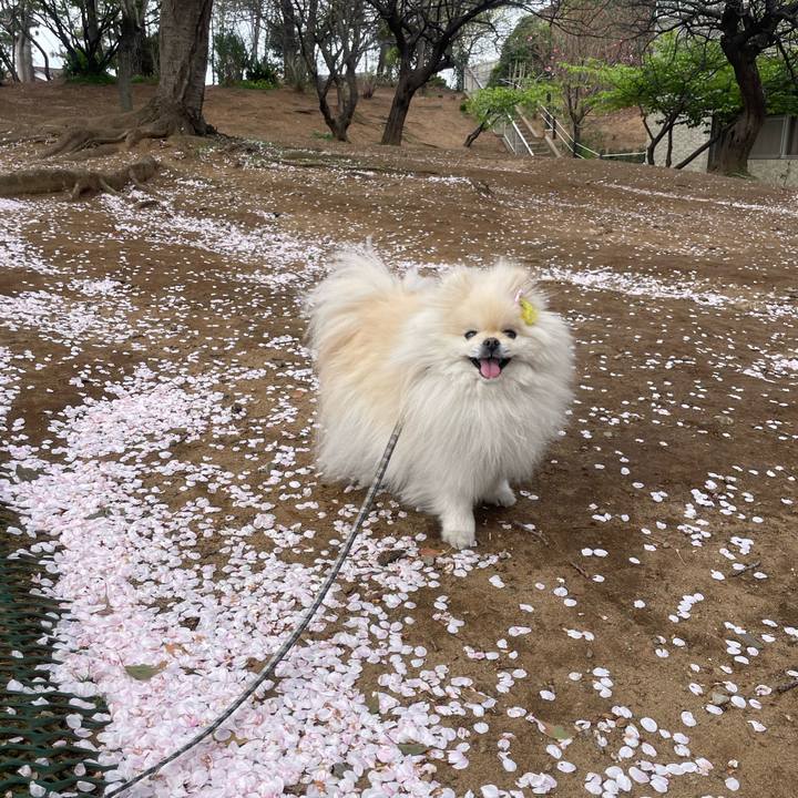 23e5142b 4ecf 45fd a5fc 525f08480f54 1743986489659