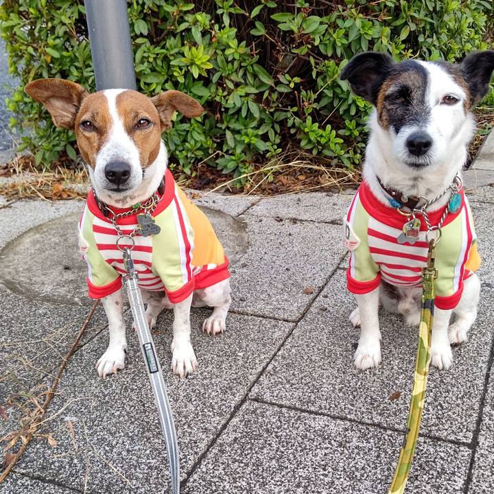 23e5215c 8d28 4654 aed1 93cca156cb4f 1665441087588