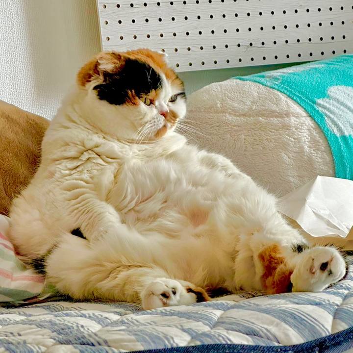 23e5813d 3342 4123 b579 957f6385e2b0 1679439814858