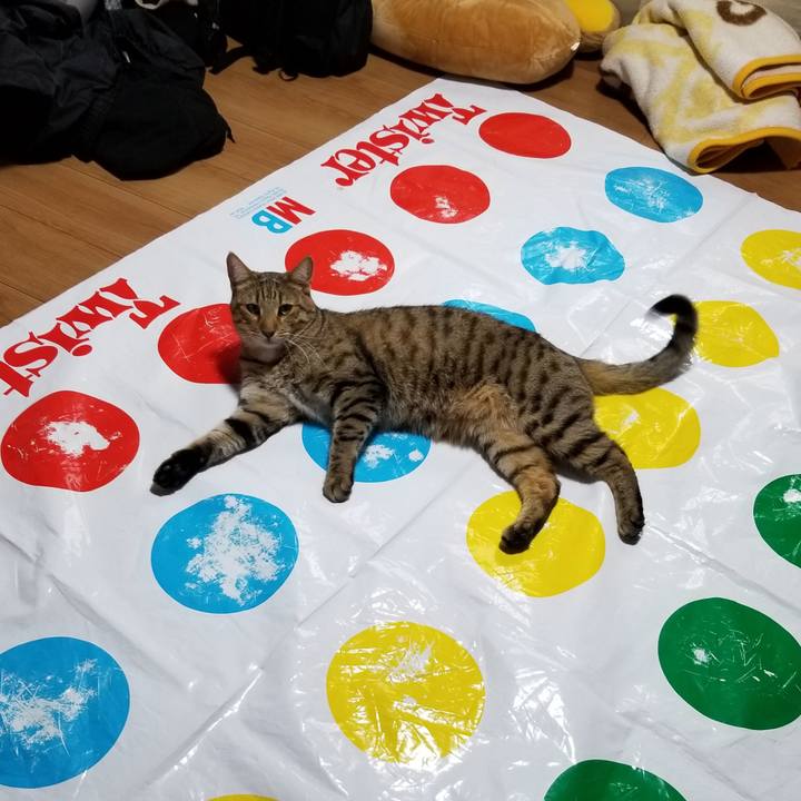 23e5b0e2 d24a 4d2d 8ebd f238029af1ef 1619101383044