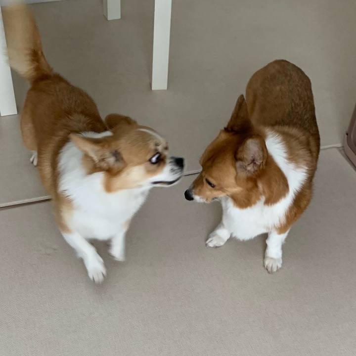 23e5b52c 09fe 4016 acab 8afa06f62055 1687566489128