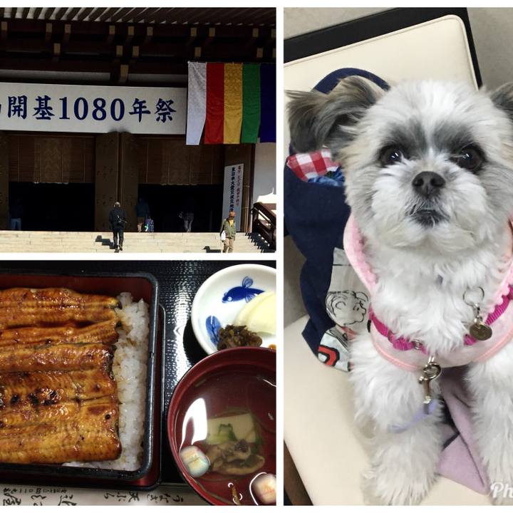 23e5c932 88fb 4b86 8d45 1b47496c3254 1517956222076