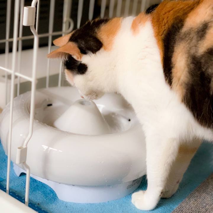 23e5cebd 0cb6 4a24 978a 26850f510fd6 1563415946715