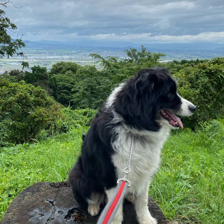 23e616d6 3414 4371 b13e f72becfa5e63 1594615216142