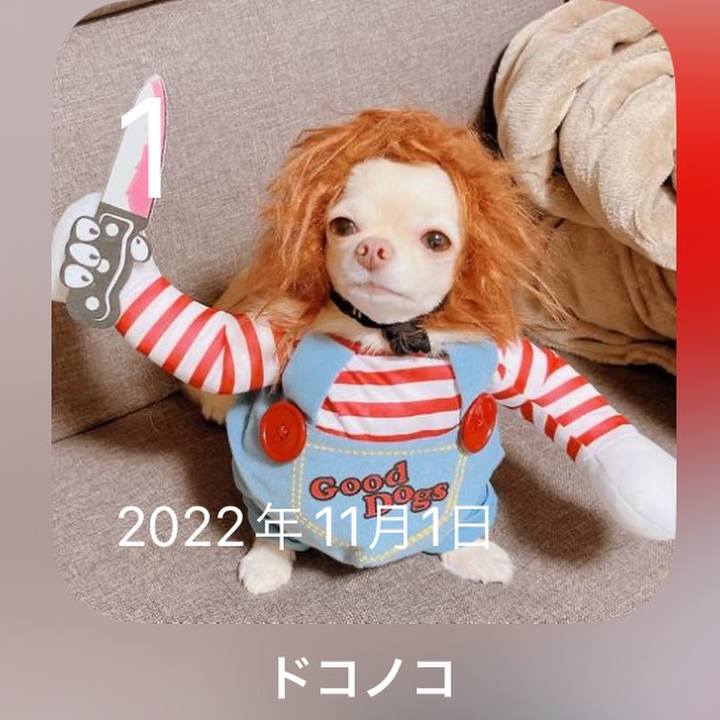 23e645f3 f979 40c4 968e 529b27e211f8 1698830168564