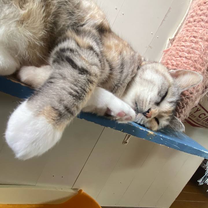 23e65ffc f772 4ee2 9f11 ead3fb7abcec 1648500898548