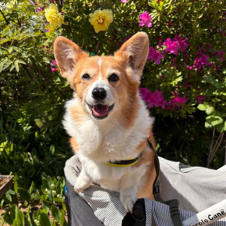 23e6a836 3681 471d 9148 3753ccc259e4 1776824358865