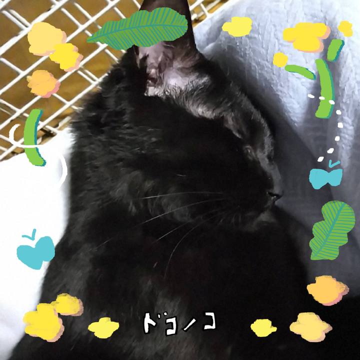 23e6c1b9 36f6 49db bbe8 bcab42a621a0 1744505564389