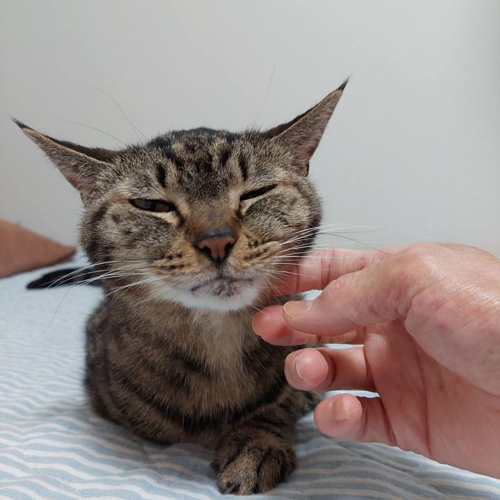 23e6ea46 310e 4cf5 8a16 3ecde503713e 1631655470856