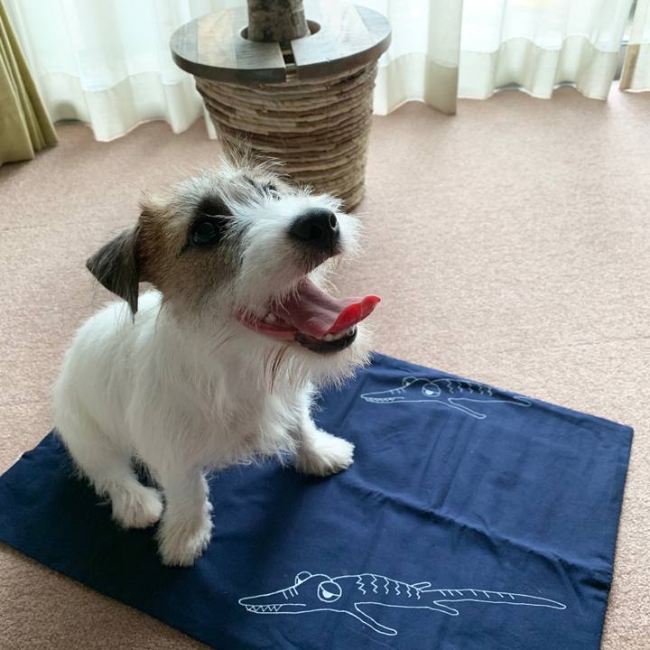 23e70eee 7497 4fcc a830 cf30288ef8e4 1567921738224