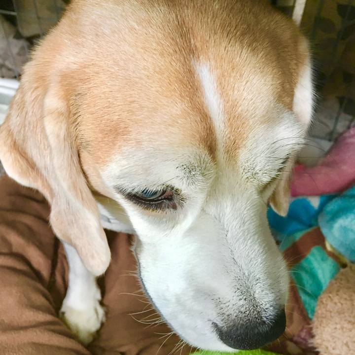 23e76321 398d 464f a21a 03852aba3878 1762407265734