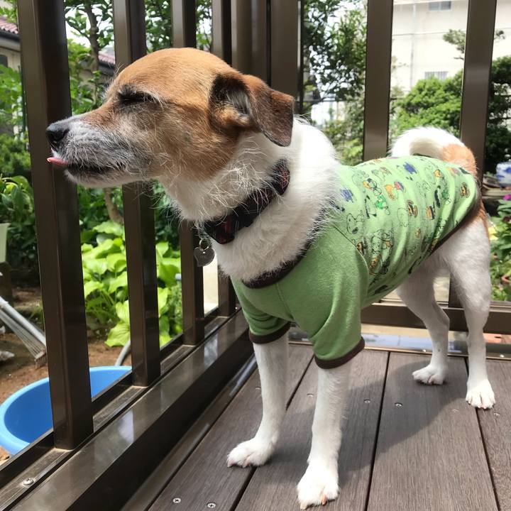 23e799a1 de2d 4302 9b7c e9c6feb76bcd 1526522484128