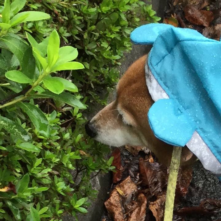 23e79c59 65d1 4455 83a3 bd09ab385cb6 1602900774828