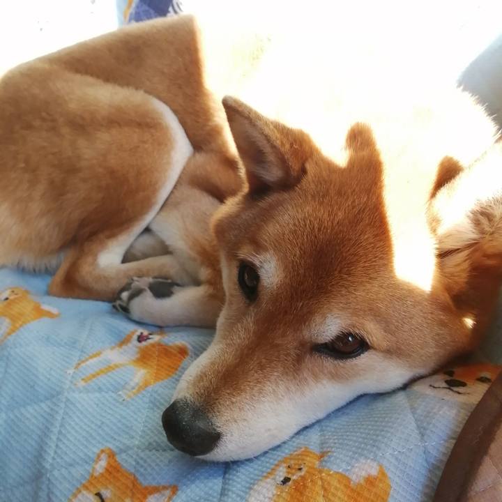 23e7bf6f 70af 47a1 a989 cb35f59881e9 1645079626080