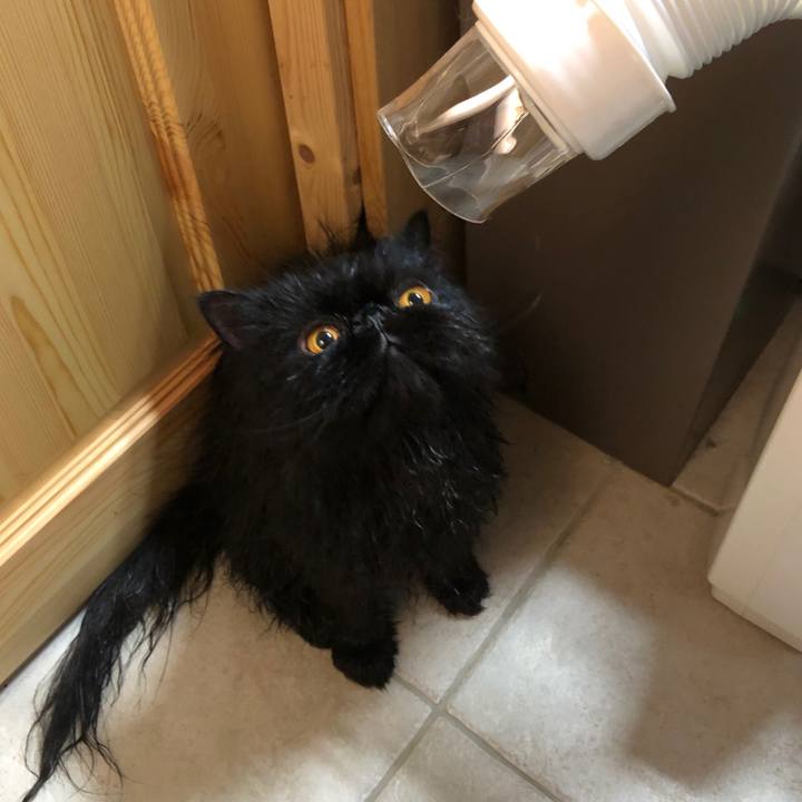 23e7c93a 6d9c 43f5 b9f3 e5c013ead60d 1557632635386