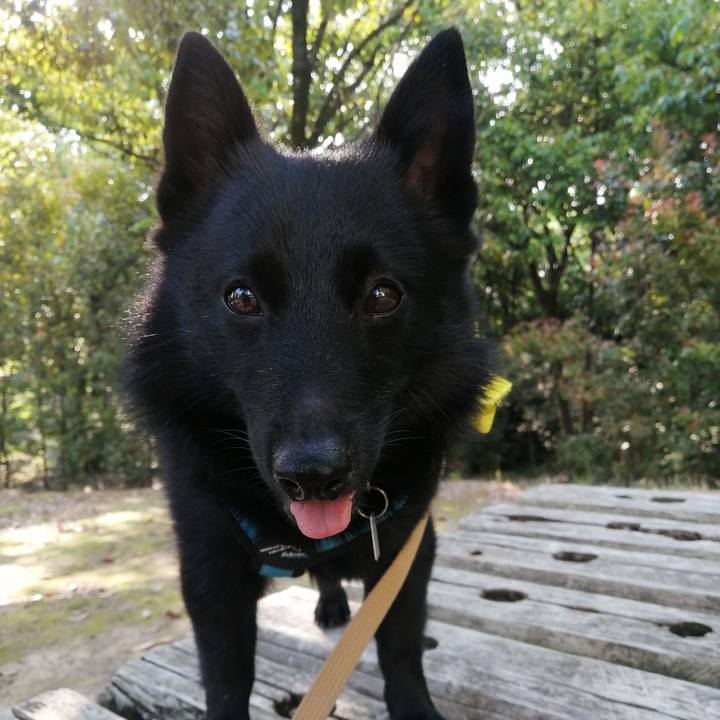 23e7d98f ce09 4741 8c77 d95714b5dc90 1653171544581