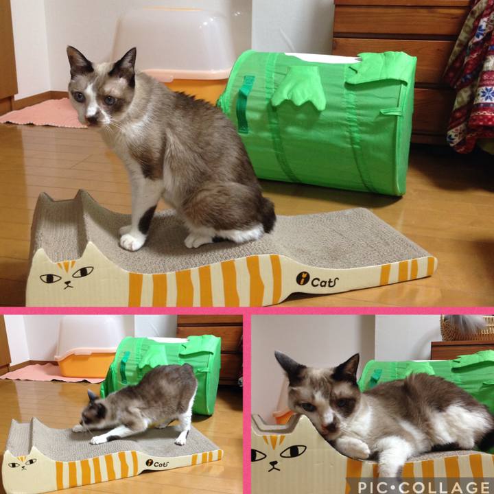 23e7efaa 9761 4cd7 89f3 0ca71c3b20e1 1756694416905