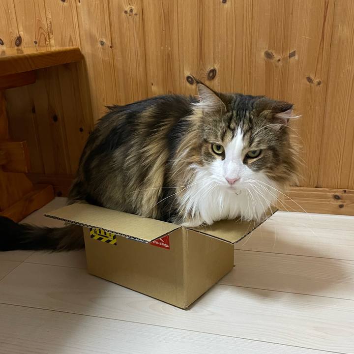 23e80e50 3672 4081 8a21 6601f24886e8 1671620892502