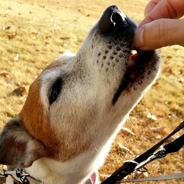 23e83459 563b 40e8 8f83 2313c69afc6e 1512208211794