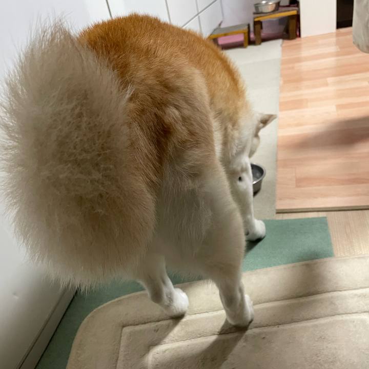 23e84b42 2b8d 4bbe a585 77078801a465 1703252320813