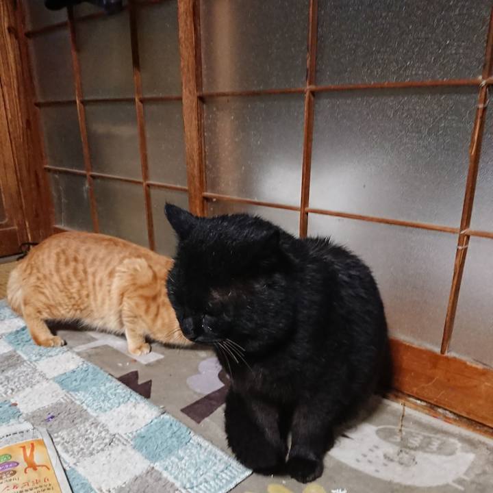 23e87915 4116 4d07 9b1a e355c54f05d7 1648121968799