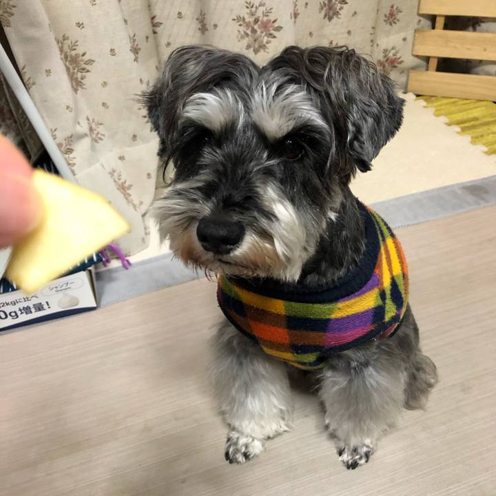 23e87e24 a342 427a 89b3 d8fc4d5803cc 1643721742356