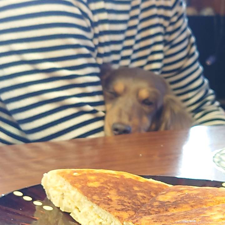 23e8925c 08a6 4a3d 8afc 9bb03c3f81e2 1642211901377