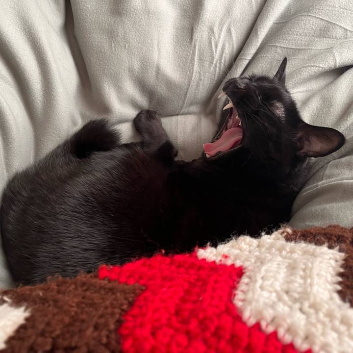 23e8ae03 20ef 4d88 ac5a 3994e7db1bea 1676943012802