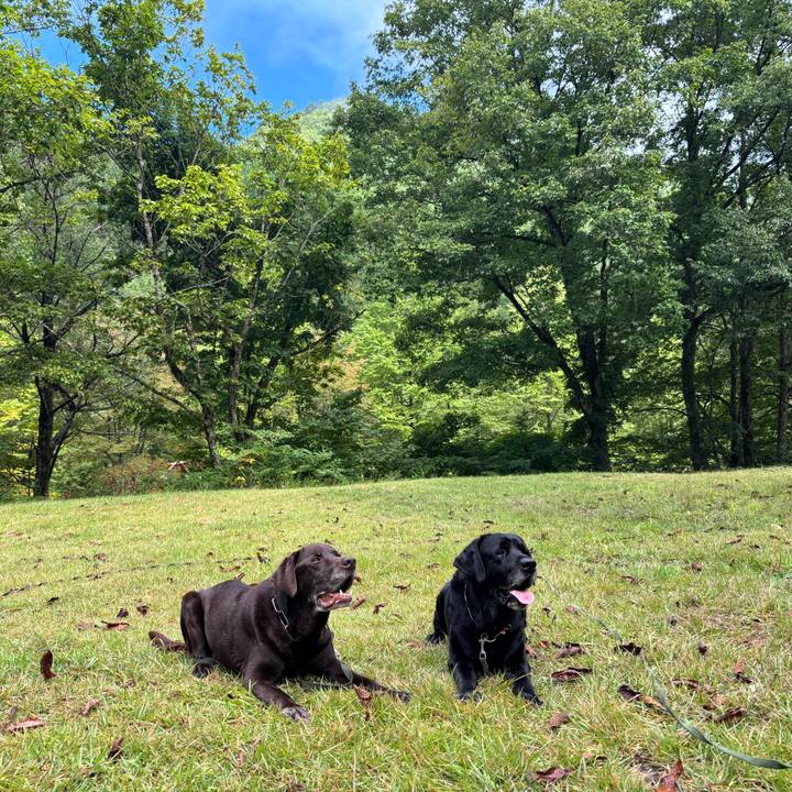 23e8b0ab f59c 462d aa44 e3874ec3863d 1758027052669