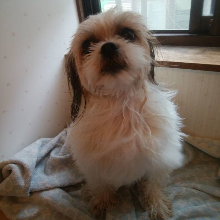 23e91b6e 82a5 4329 9cf6 e480c733d12f 1527731650532