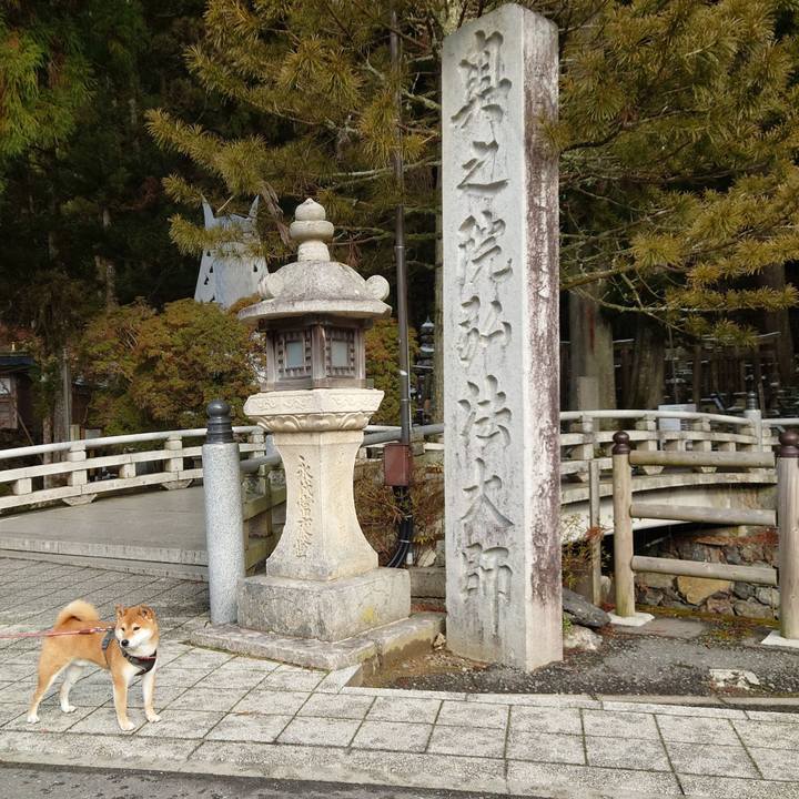 23e96c1f 8d8f 4cea 8a14 2aaba7512673 1767054947192