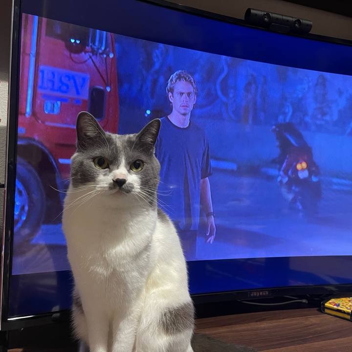 23e995de 50a9 4008 bdd9 4a67eaf57a54 1651233810532