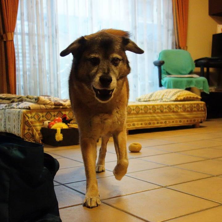 23e9c62f 405f 4bf7 bb1a 9ec46e439a3f 1561853830846