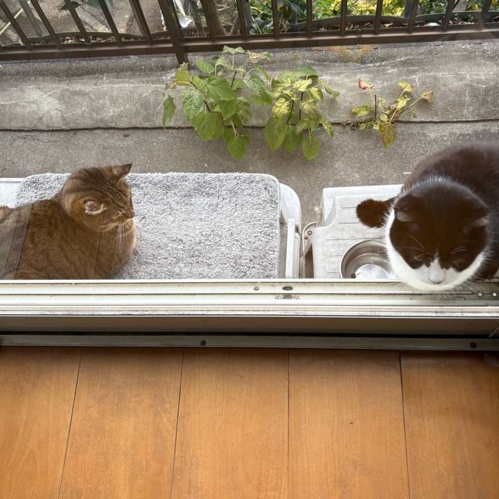 23e9ccd9 88c8 42e2 a3fa b09e5f181996 1766374698618