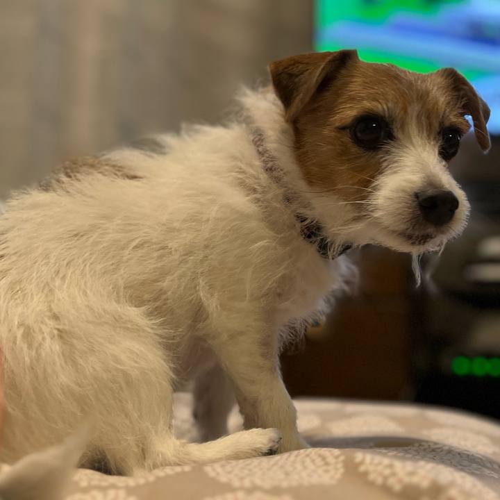 23e9f741 ce2a 4fe5 90ba ce6cac11e90c 1708085394198