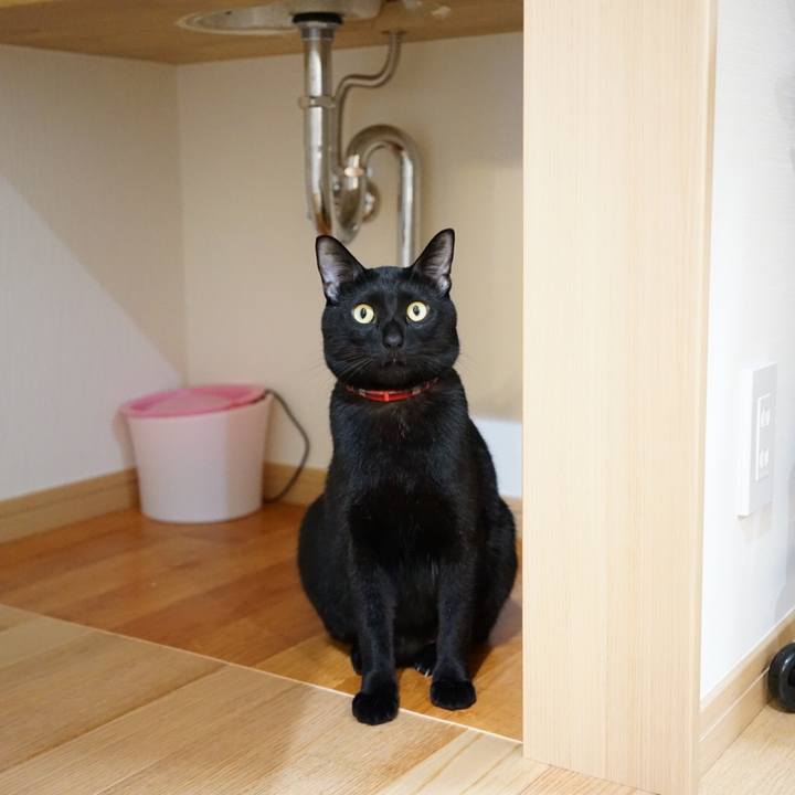 23e9faeb cbca 4b21 a460 e7e1ff37055a 1512603236486