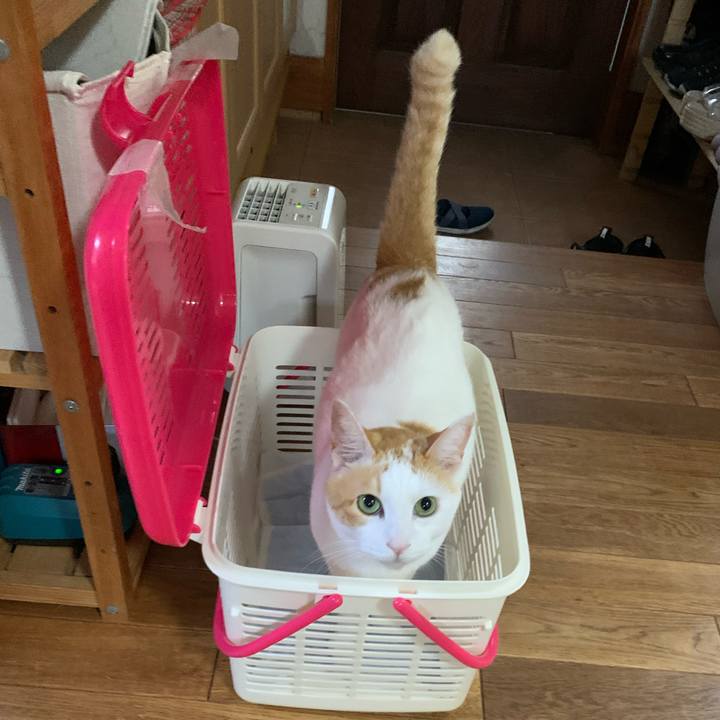 23ea007b 81a6 49c8 a4f6 131f405d8b24 1628632070768