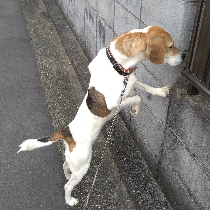 23ea1bf2 9dda 41a5 81a9 cf0f930eb73d 1649913418720