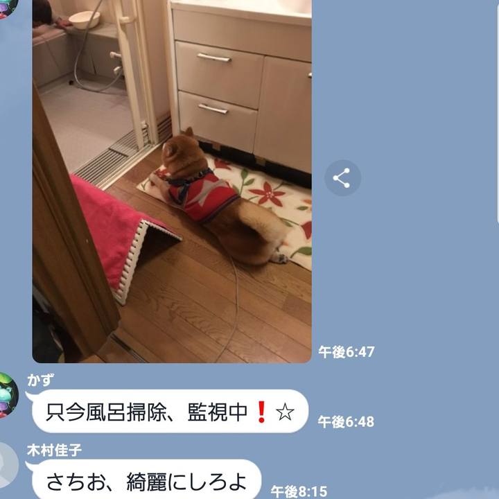 23ea2a18 c294 4943 a1b8 5a61e2a15f52 1552304341503