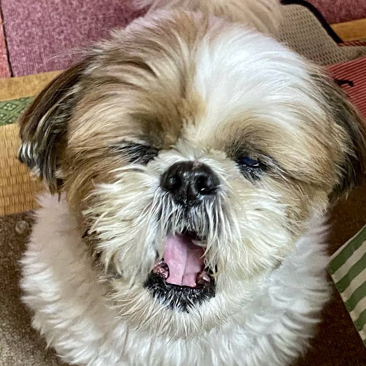 23ea4e80 03a0 487a b41c 30796620b931 1608264317700