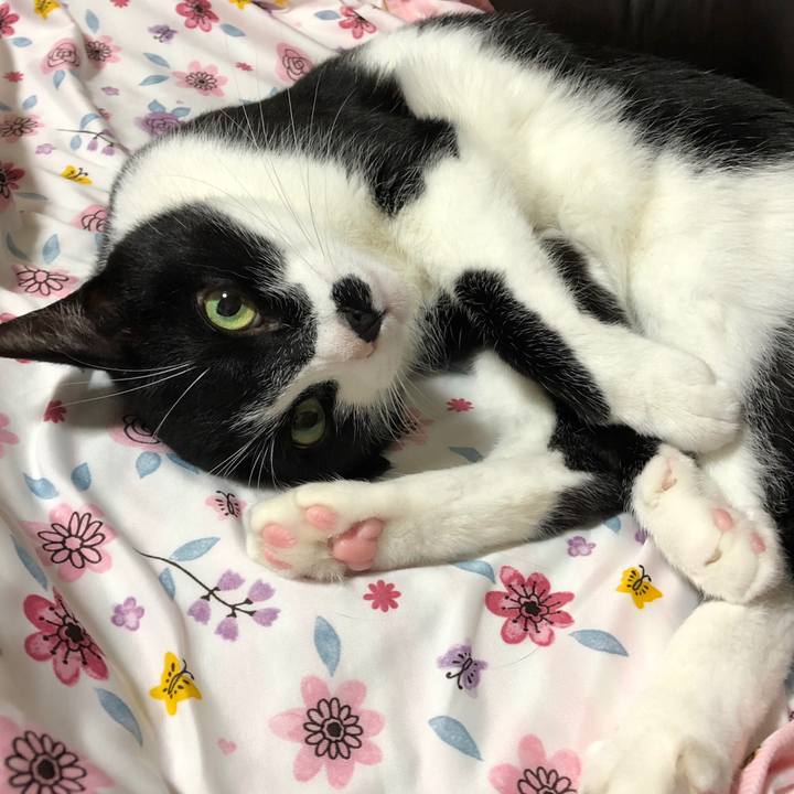 23eaa4ed d83a 404c 8aa0 8fa2e99834e8 1535809898140