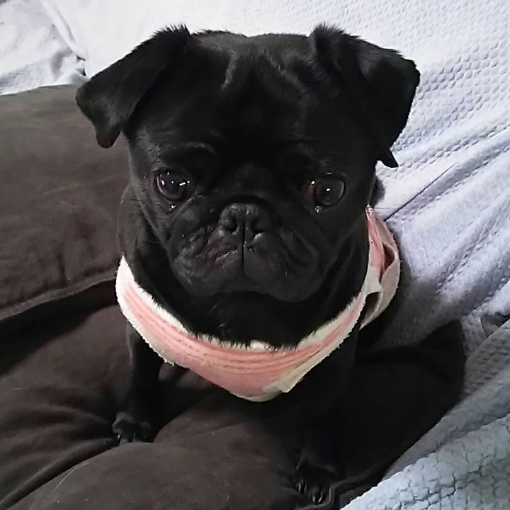 23eaa675 1844 40e0 b336 f51cd5e24498 1549780460317