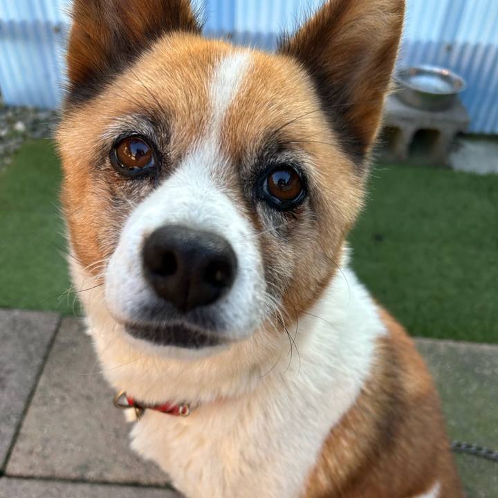 23eab1a8 28ce 4f7c a1b3 c200d039ca9b 1763158380282