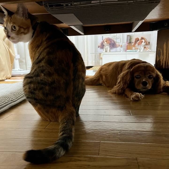 23eabd59 089e 4829 8e1a 304dd372e3db 1690975708145