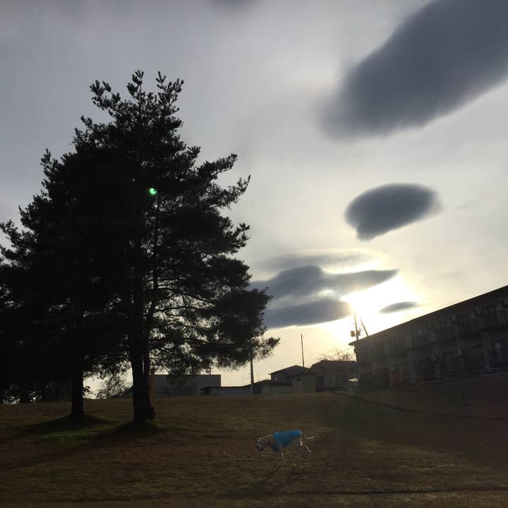 23eae251 bc19 4105 b58c fe2610a2165f 1544943732672