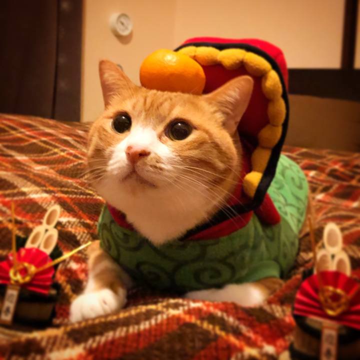 23eaeb41 113b 4ad0 8109 76a4cb764623 1546358701237